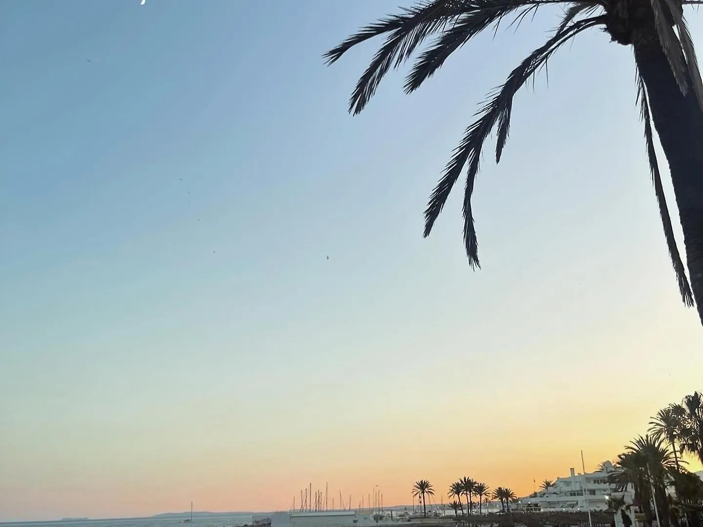 Holiday home Serenity Luxury , Puerto Banus Marbella Spain